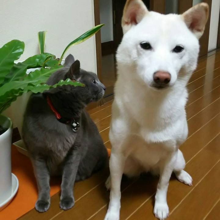 78ee0ba5 f6ab 4edb bddf fb414d1224b0