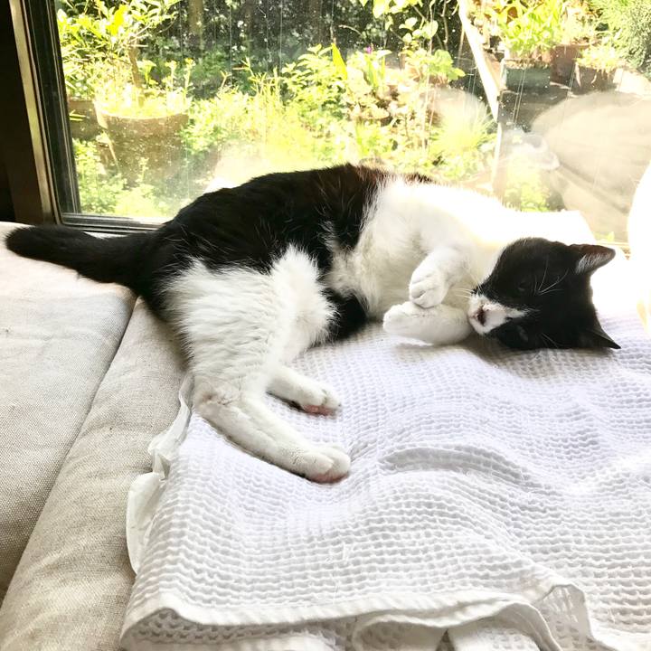 78ee7537 13ab 469f a84a caf3e8aecbab