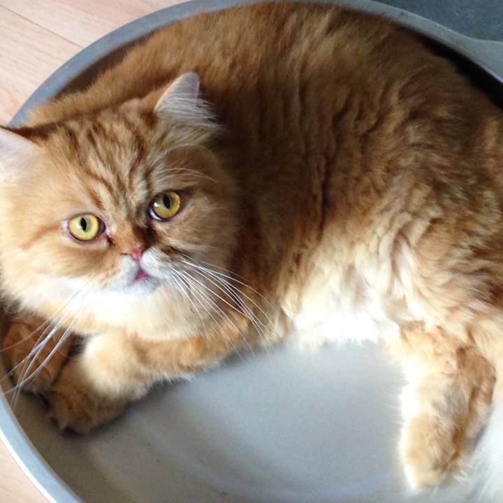 78ee9680 7c8e 4372 85b8 f987affc89b7