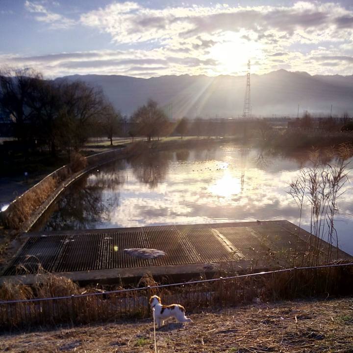 78eea18f 60af 4a1d 91f5 42813d4e1083