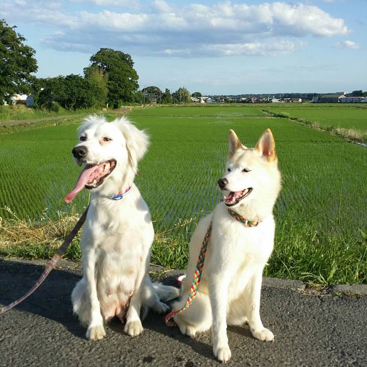 78ef0dab 3b04 4599 9d6b 94eb82da3d87