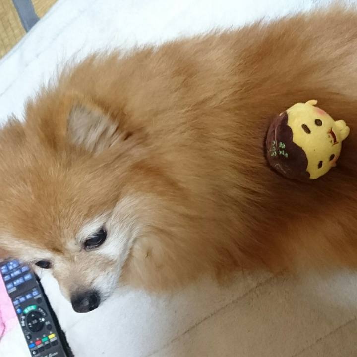 78ef58cf 4b03 4240 a944 28b1bbc5afbf