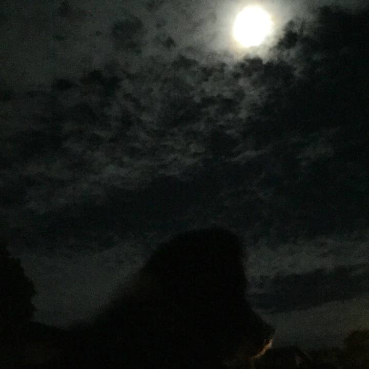 78ef5957 6aa7 4589 bd74 b33b5714a553