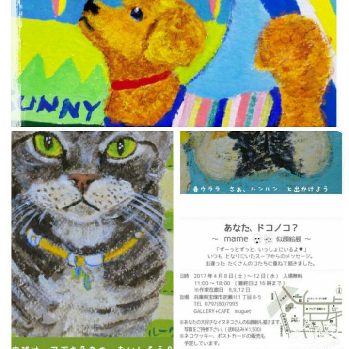 78ef59e8 654c 46f8 a116 80714ab16ff6