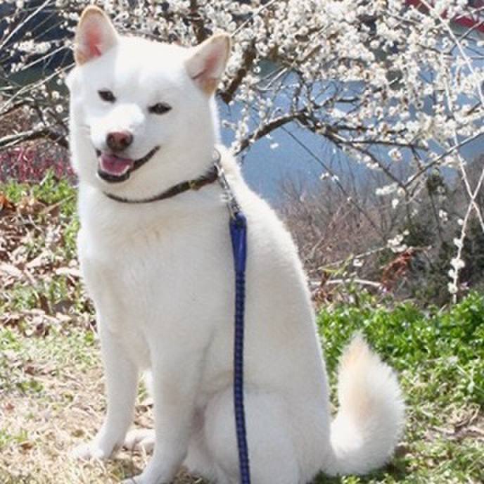 78ef6691 9644 4a17 ac49 1aeefa8956ae