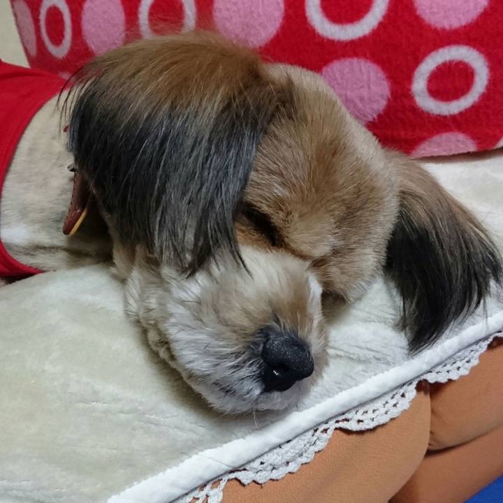 78f0671a 3e44 4bd9 a519 bb47bd615ef7