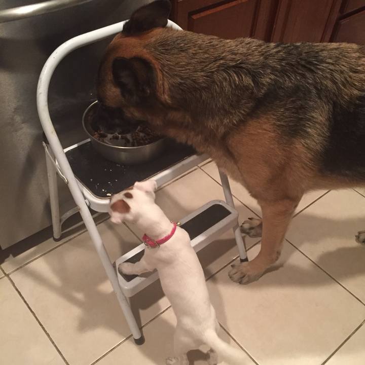 78f06c4b 1724 430c a6e0 cca8e1c5bc02