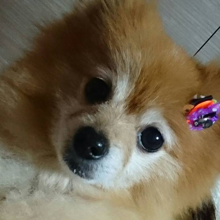 78f1c298 bfcd 439b acf5 511511938387