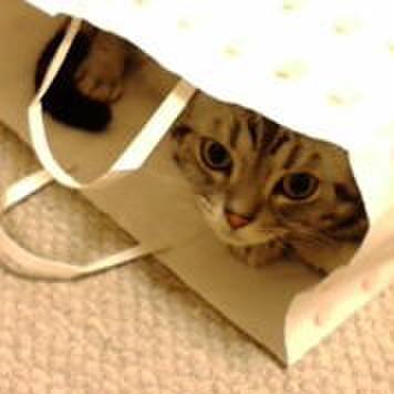 78f2c4d1 0084 46d5 9995 a9a8334e95b0