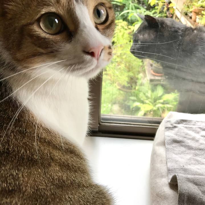 78f3b09a bf7b 4b2f 8115 977fef494414