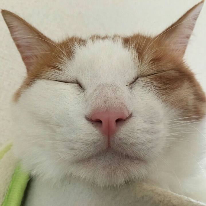 78f43164 664b 429a 805f 3730ac658159