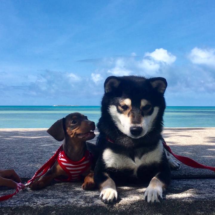 78f43672 96e1 4a16 a70a 37079a99057c