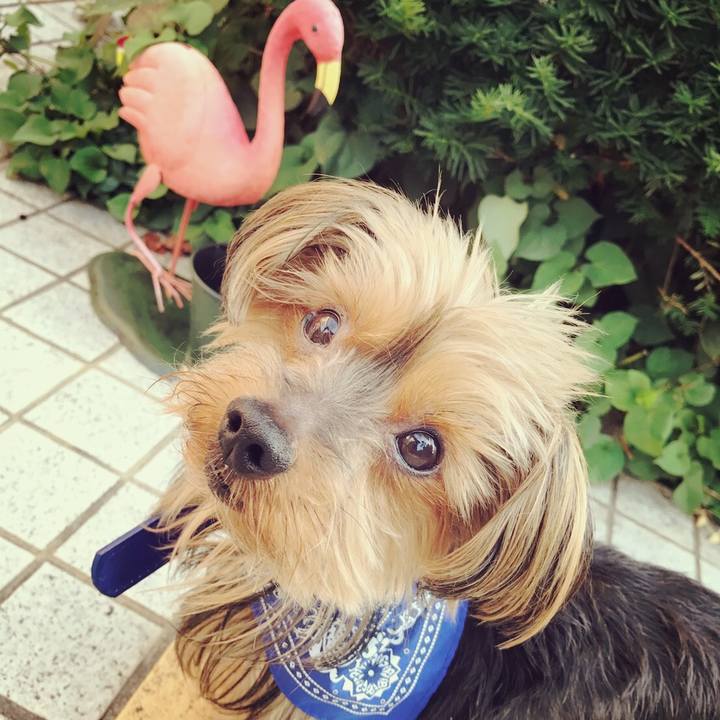 78f48b2a 670a 4f96 8157 7f52471051b9