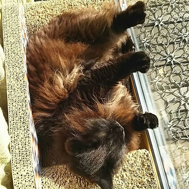 78f4e81b 8a6f 4829 89a2 a9603bafd762