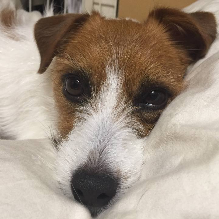 78f5057a 7a11 4289 ae42 e1bd8b39b067