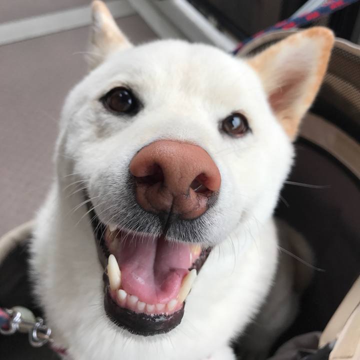 78f5184e 2243 408e 9dc2 5aebd38e69ad