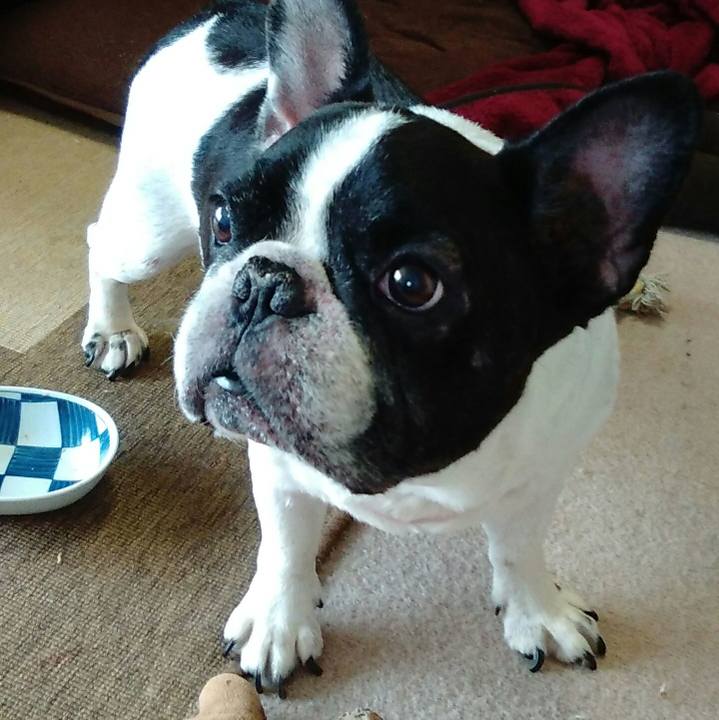 78f56f26 f8ed 4dd0 a5d2 d060ed39d88f