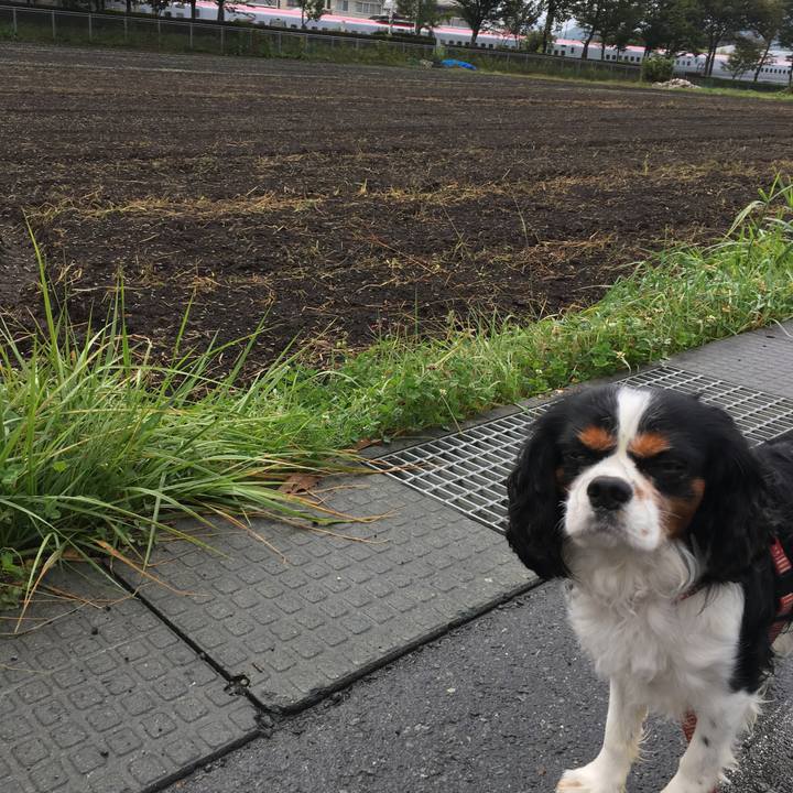 78f58254 5ffa 4636 ac82 0c7e167b3969