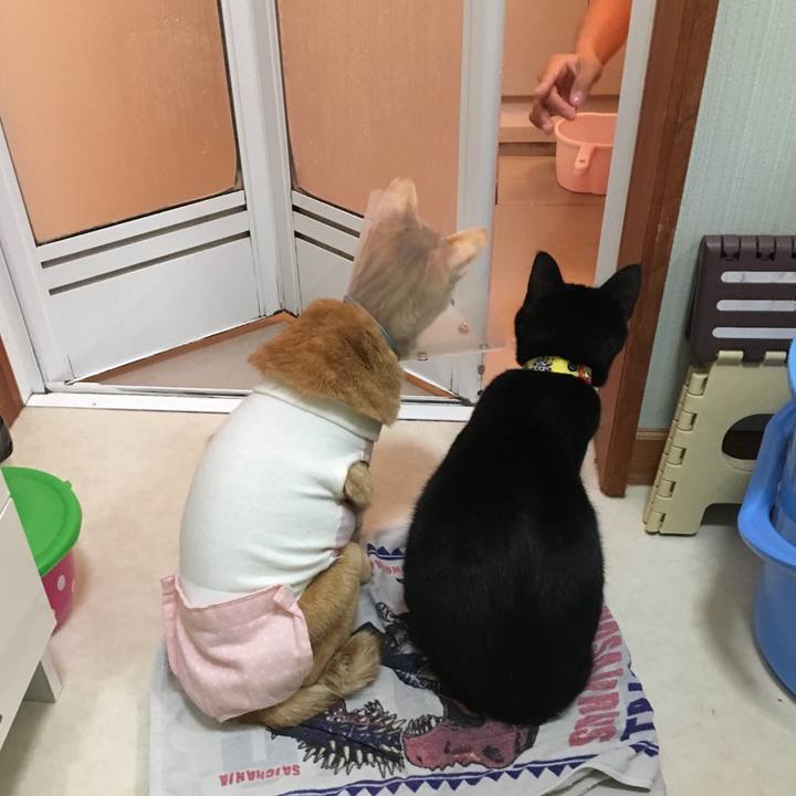 78f58cf8 796a 4381 a533 66f63ccaa075