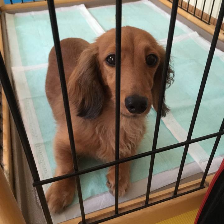 78f61755 3a0c 4af2 95b7 1924507d154f