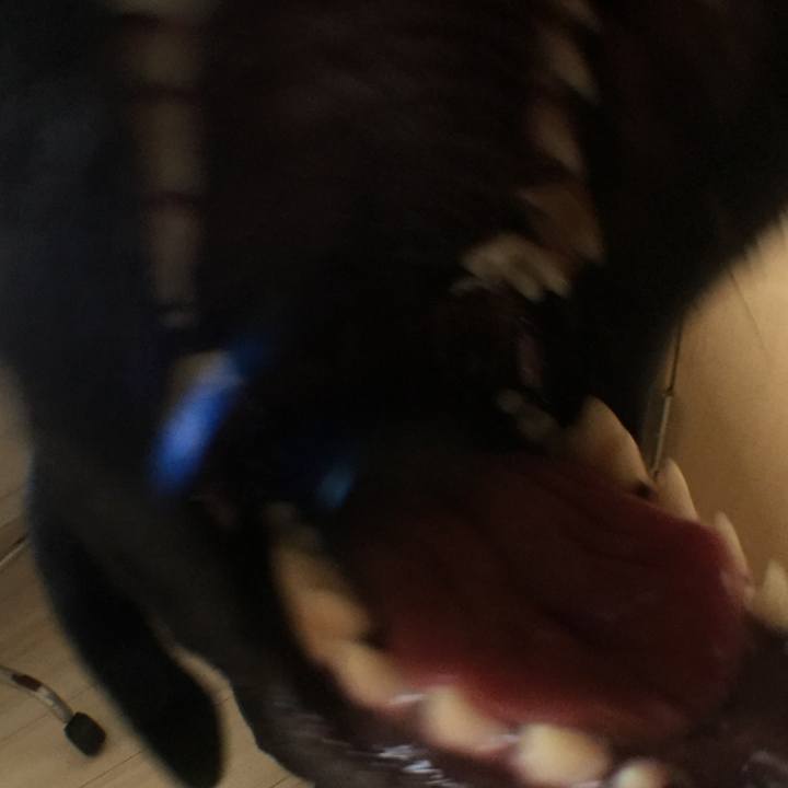 78f6dbc6 35e4 4844 8a29 f7d6dffd5c26