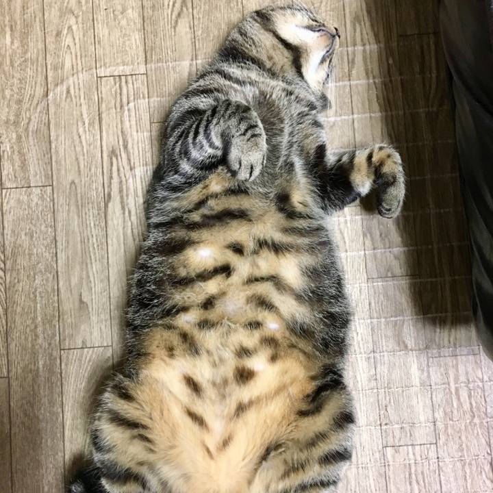 78f7bbce 09a2 4499 a918 c4177d951062