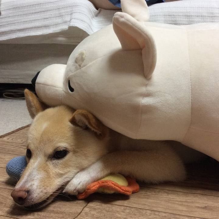 78f7ccb0 4b43 4d8e a497 ac6af52aaf15