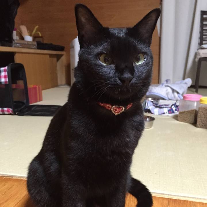 78f8b467 7da1 452d a5b1 9f8ce1d0f18f