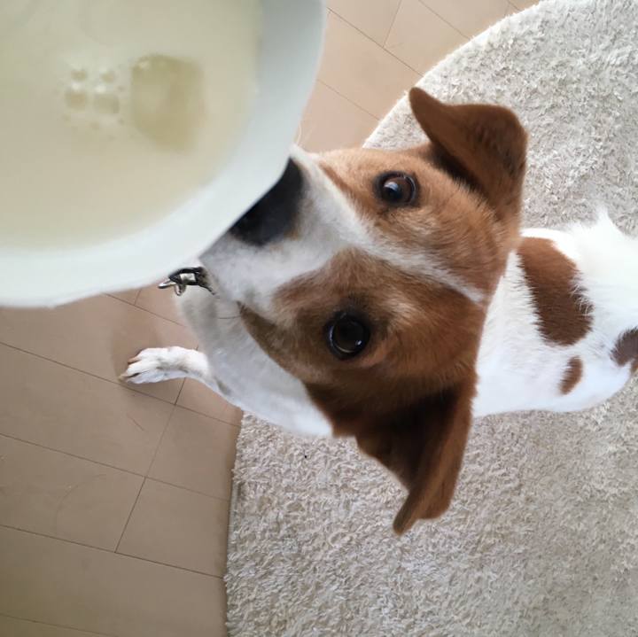 78f8d38c 91ab 4b1c 8411 3769added05d