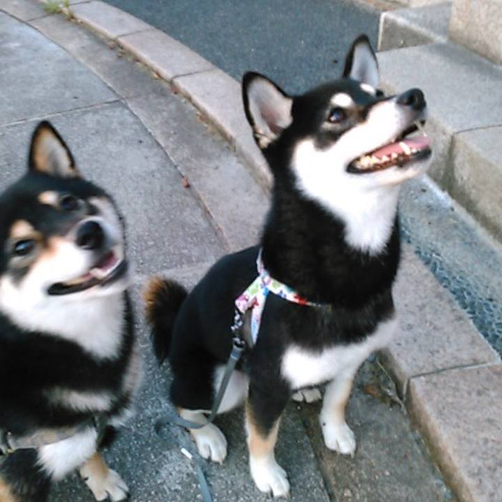 78f8d4a0 b711 4edd 9eab 3ac972c1e7a9