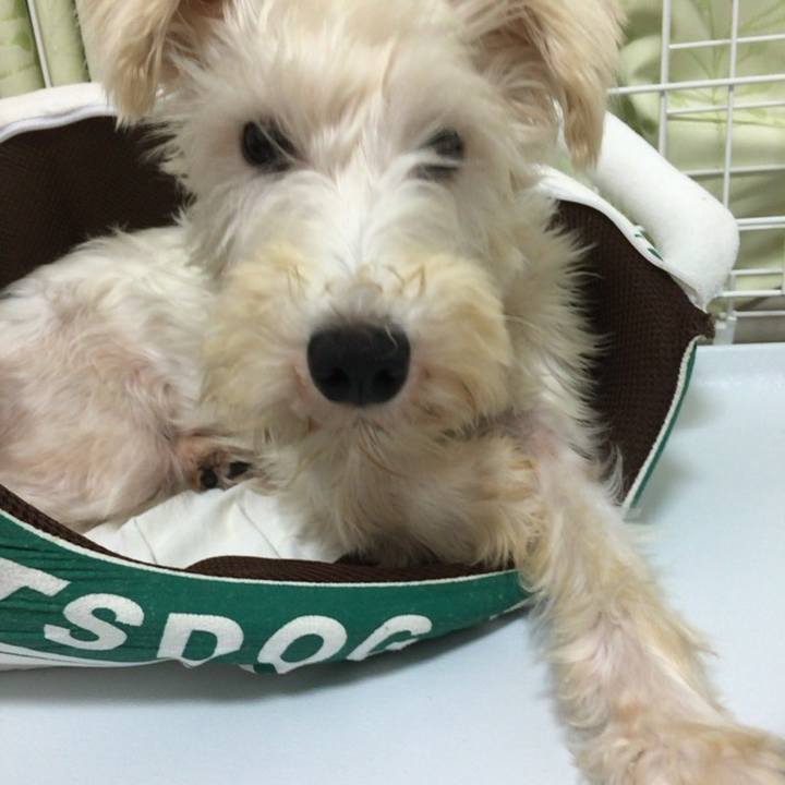 78f9718d 2fa5 440d b4d6 80d71ffce0dc