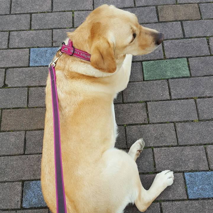 78fa3c61 86d6 46f3 a277 fa23860885fb