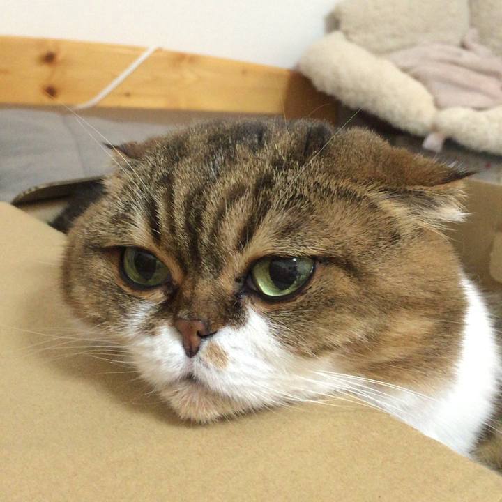 78fa584c 7722 4635 b256 257a3d116f46