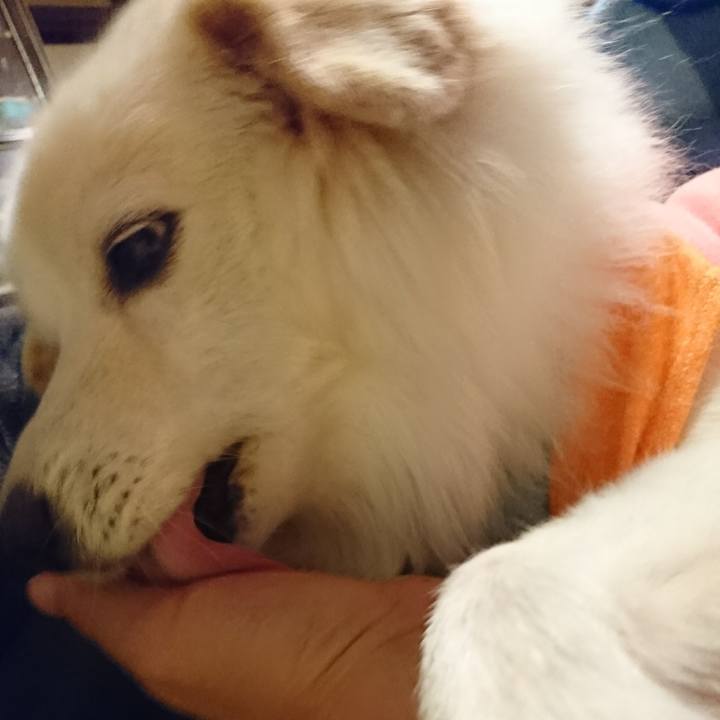 78fbf83f 5e07 4ffa 9220 f91cf09b146b