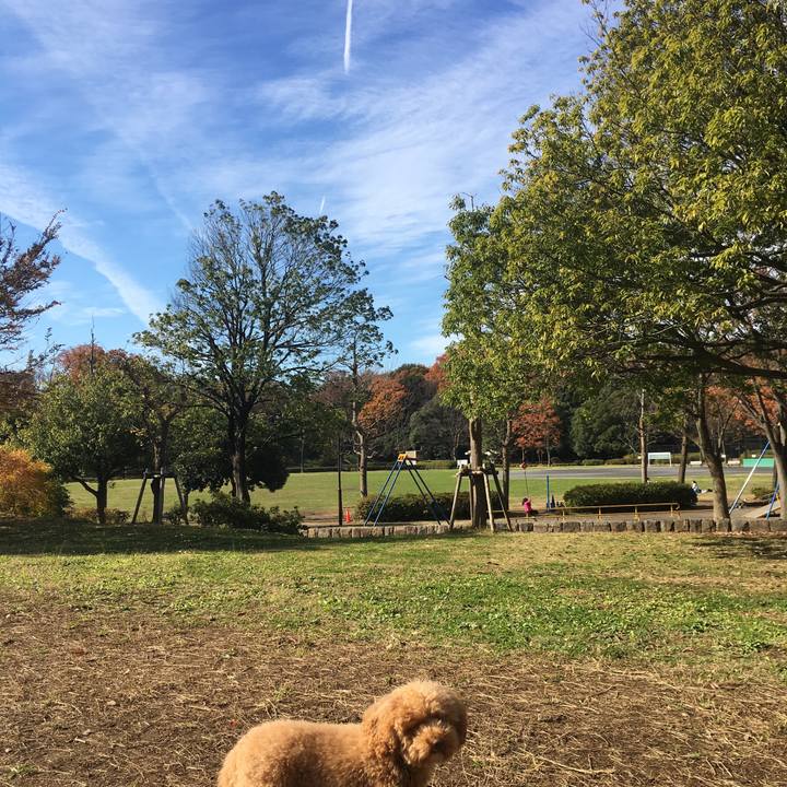 78fc51c3 0a27 46fb 8bb2 03c70cdfd275