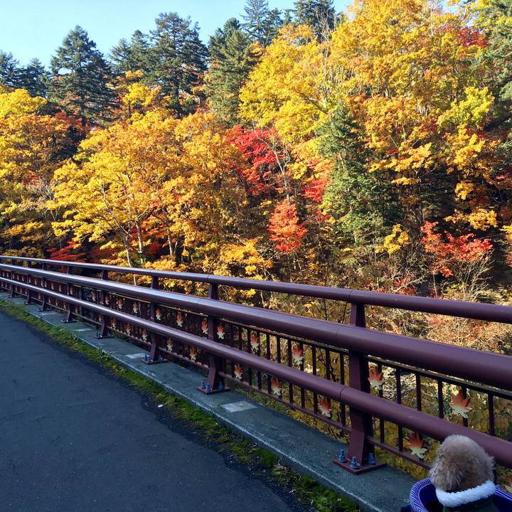 78fd5de7 91bd 4533 add3 51a114ee91a0