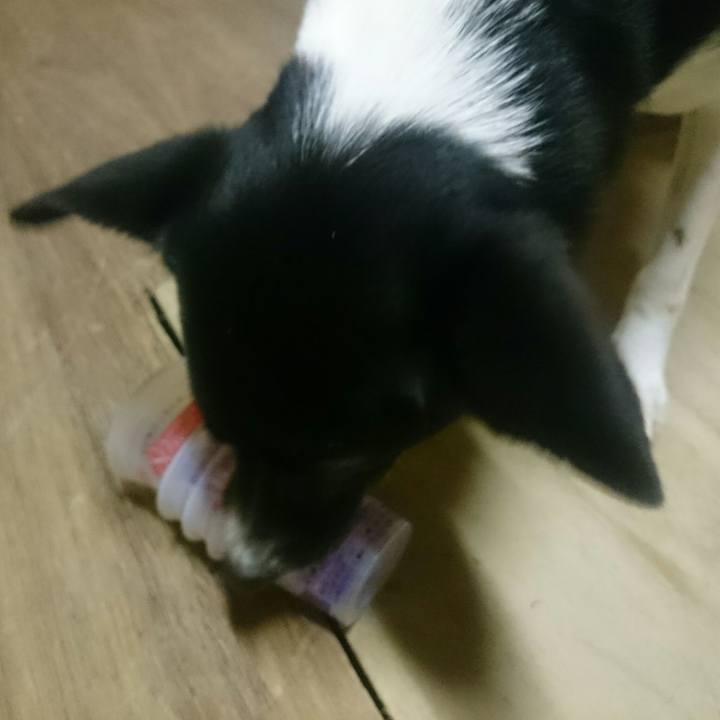 78fdbf07 9f19 4c95 9c45 089ebf538fb3