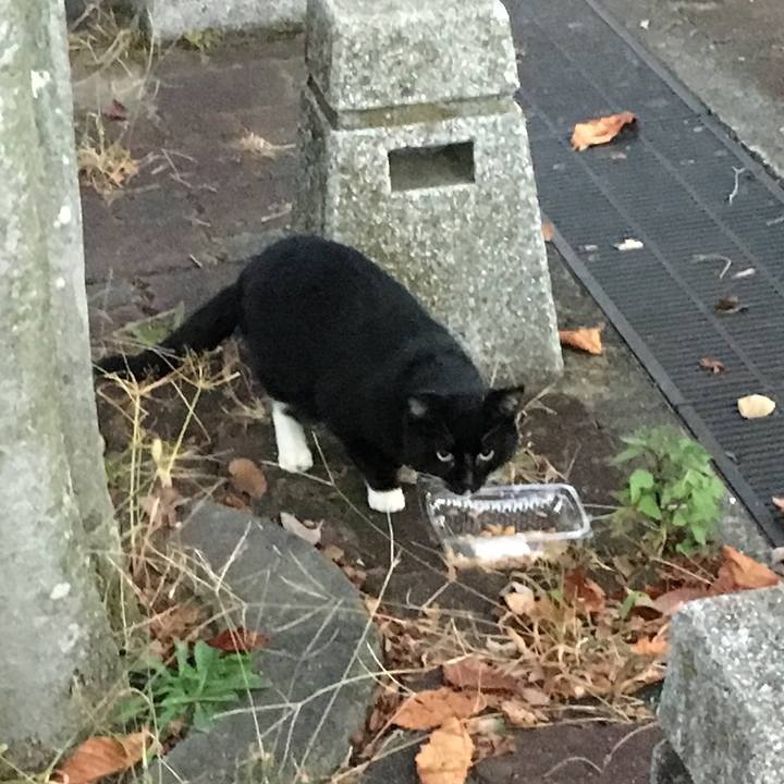 78fdcaee 34f6 4e4e 9b4e 1d5bc7d8f0bd