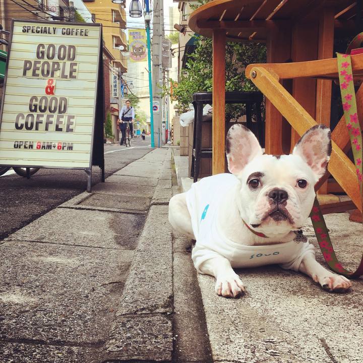 78fe8bff ef0a 4e85 8922 389418d4e767