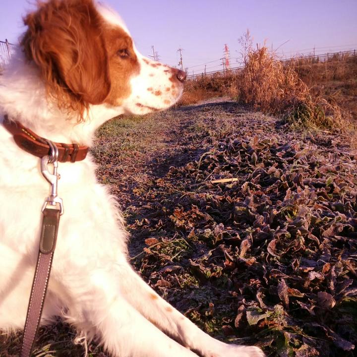 78feb912 e321 41d5 b320 639fd3e91339