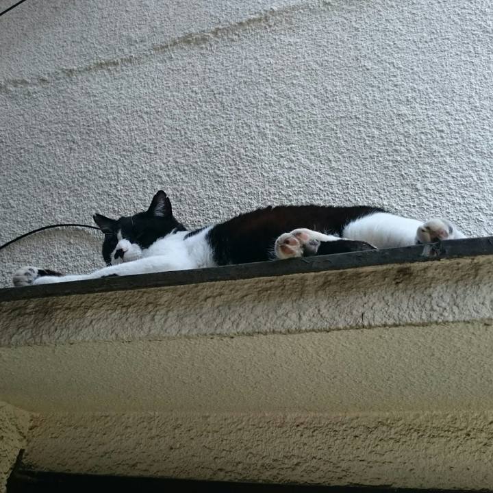 78febeef a21b 4136 a6ec ecf0feeabd9b