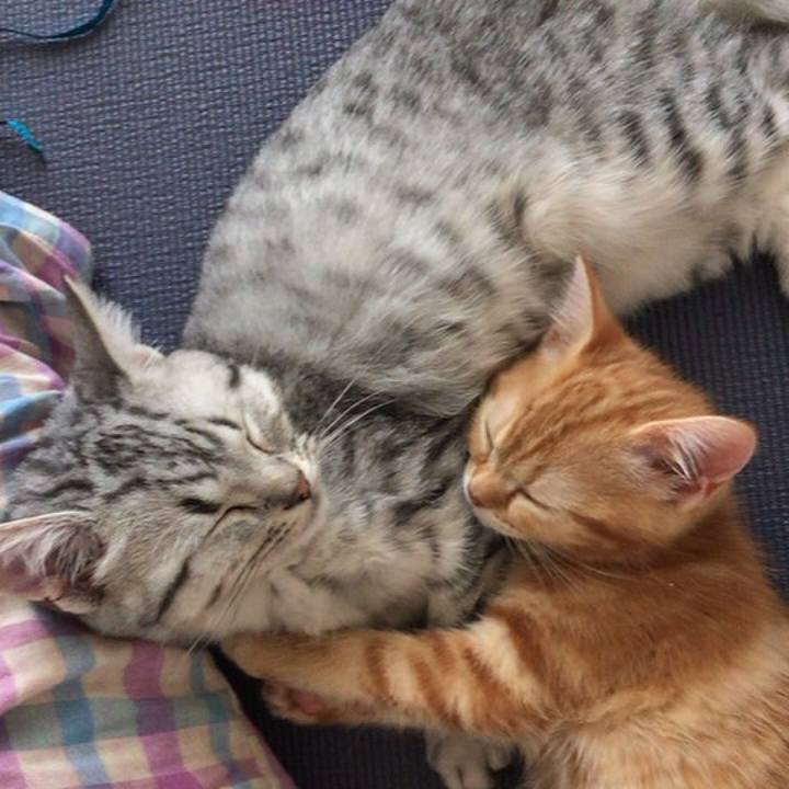 78feda2c 24c9 46ac a85b 51890fac69da