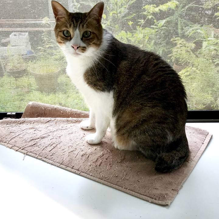 78ff0631 d457 4427 9a08 63ae496963b1