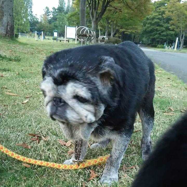 78ff552d ebac 4df5 b32c e9c1bec7c142