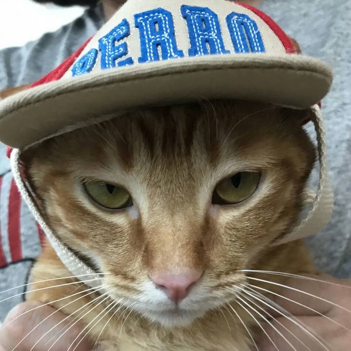 78ff9f3c 53ce 4639 86bc ae55b124b81f