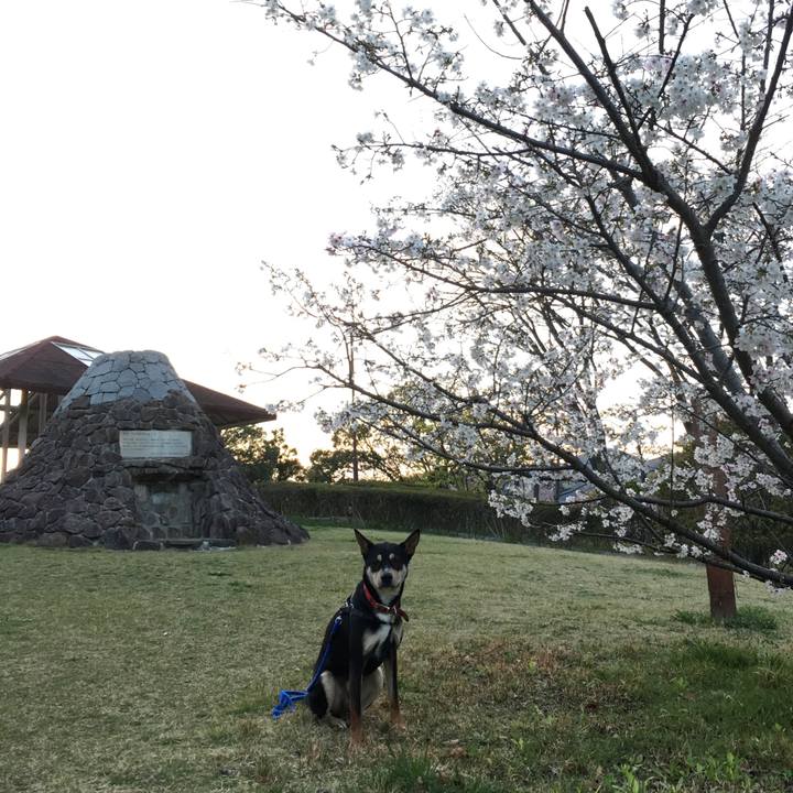 78ffec9b 0b78 4900 8226 831064f5f774