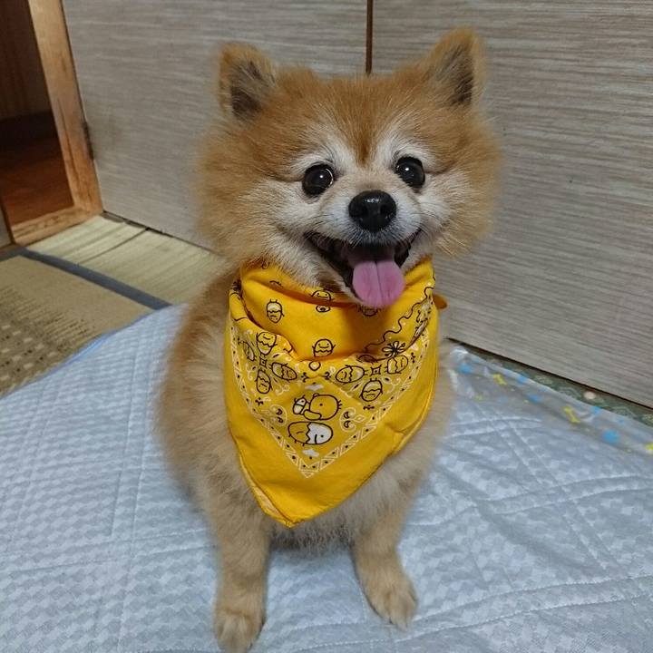 790066a5 e75f 4f50 b612 521b854b31ec