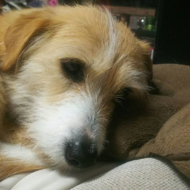 790083e9 7c67 4c1f b79a 4e56a85bcd5d