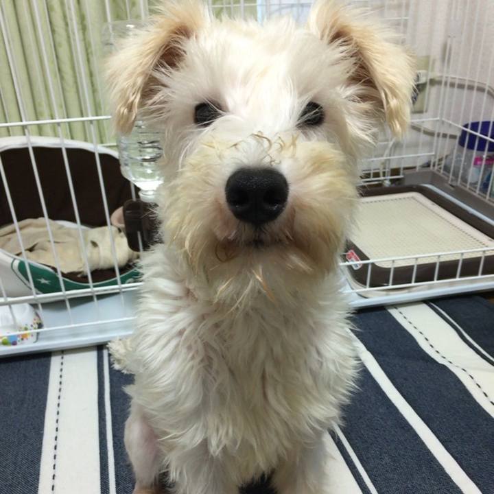 7900cd50 dddb 4dc8 98c3 ba1ea544f110