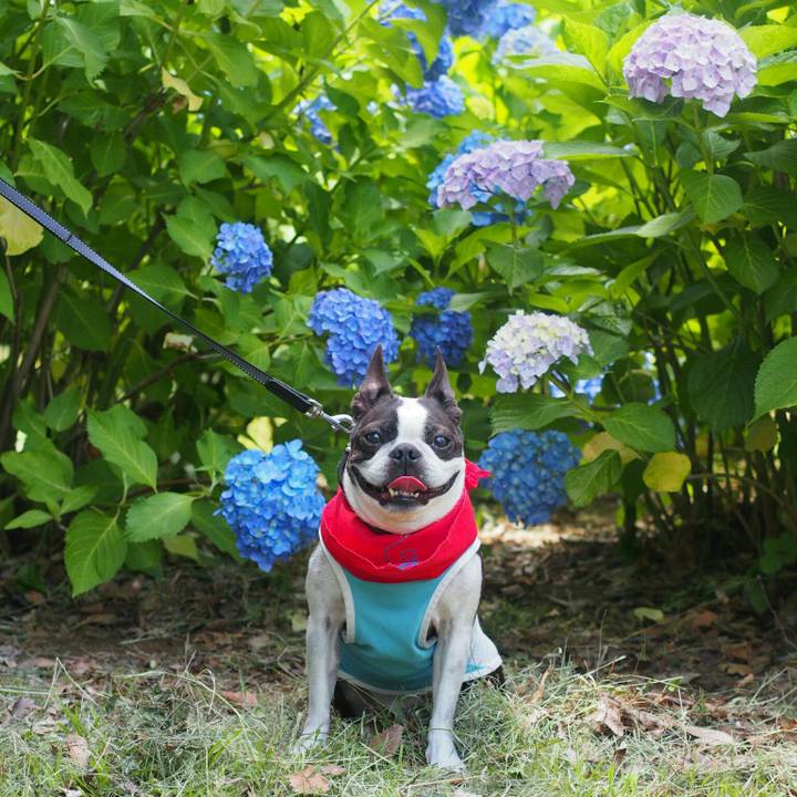 7900f35d 7ceb 4428 adeb 54f8491b2b98